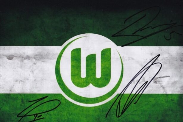 clb-vfl-wolfsburg